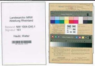 Entnazifizierung Walter Haubl , geb. 27.11.1888 (Justizassistent)