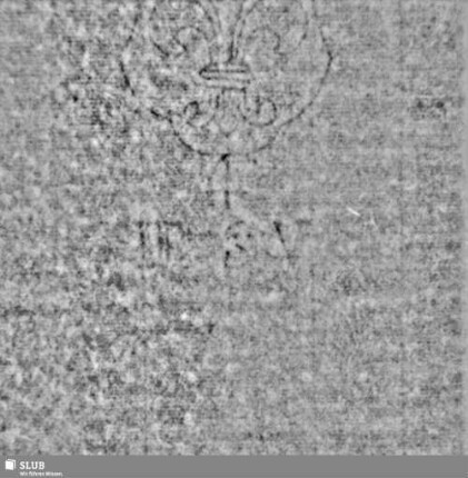 Lilienschild + IESV / LW = S.9/10