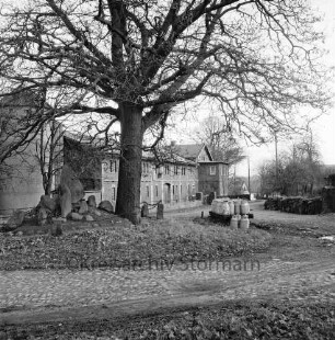 Dorfanger mit Ehrenmal und Baum: dahinter Bauerngehöft von Heinz Burkhardt: rechts Milchbock mit Milchkannen