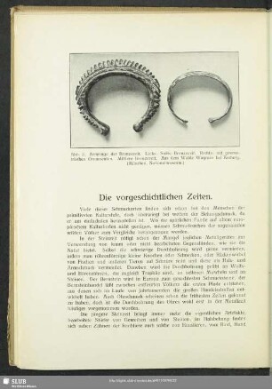 Die vorgeschichtlichen Zeiten