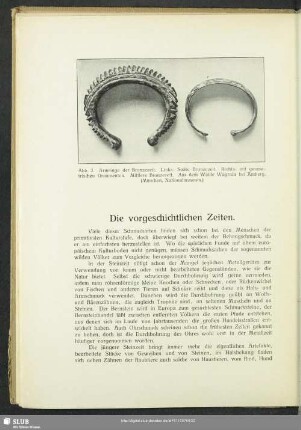 Die vorgeschichtlichen Zeiten