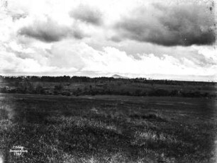 Landschaft : Blick über eine Landschaft. Im Hintergrund dichter werdende Vegetation und die Schemen eines Bergs