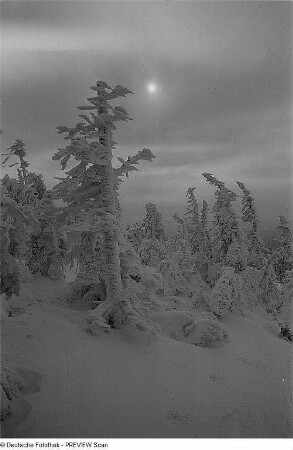 Kahleberg im Winter