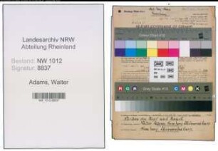 Entnazifizierung Walter Adams , geb. 04.10.1904 (Koch)