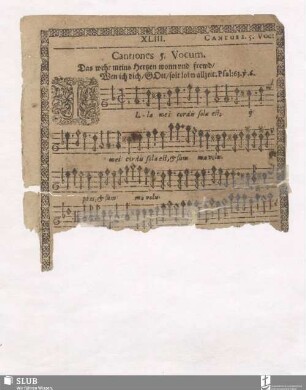 XLIII. Illa mei cordis sola est [incpl.]