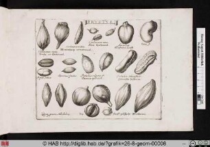 FRVCTVS. Gewürze und essbare Fruchtkerne.