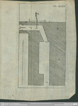 Tab. XXXI [XXXII].