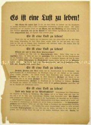Flugblatt der Deutschnationalen Volkspartei zur politischen Situation in Deutschland im Zuge der Novemberrevolution 1918