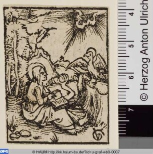 Johannes der Evangelist auf Patmos