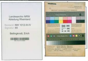 Entnazifizierung Erich Bellingkrodt , geb. 18.11.1900 (Ingenieur)