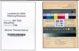 Entnazifizierung Therese Gertrud Strunck , geb. 13.09.1914 (Kontoristin)