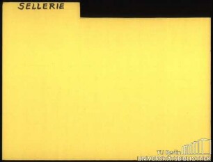 SELLERIE: Allgemein