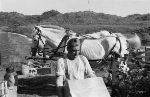 Zweiter Weltkrieg. Niederlande unter deutscher Besatzung. Angehöriger der deutschen Wehrmacht beim Entladen eines Fuhrwerkes in Dünen an der Nordsee (wohl bei Den Haag)