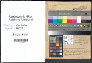 Entnazifizierung Peter Ringel , geb. 03.03.1886 (Kaufmann)