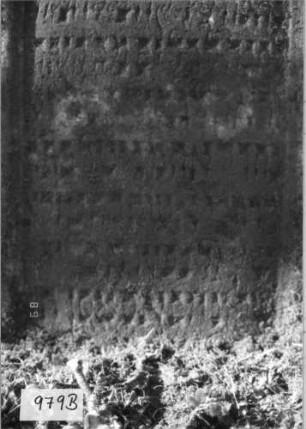 Grabstein 979 (Index: 99751381) Material: Sandstein Zustand: verwittert, Stele eingesunken Maße HxBxT: 108x64x10 cm Beschreibung: Stele, geschwungen eingezog. Rundbogenabschl. , Schriftfeld eingetieft Symbolik: Blüte, Ranken: Grabstein 979B
