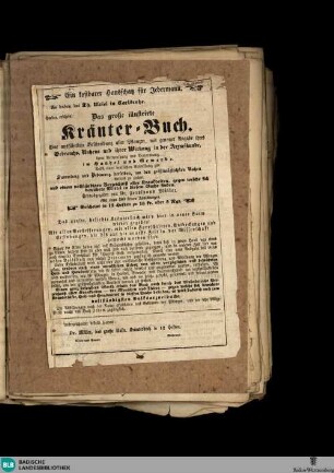 Karlsruher Tagblatt, Soeben erscheint: Das große illustrirte Kräuter-Buch