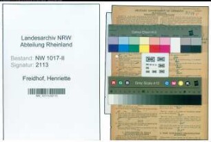 Entnazifizierung Henriette Freidhof , geb. 16.07.1888 (Hilfskraft)
