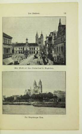 Der Magdeburger Dom
