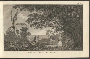Pl. 47 Vue De L'Isle De Tanna.