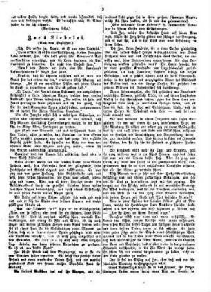 Nürnberger Anzeiger. Unterhaltungs-Blatt. 1873