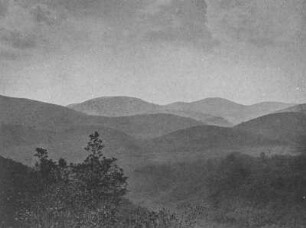 Hügellandschaft : Blick über eine Hügellandschaft