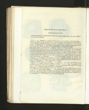 Pl. 77.
