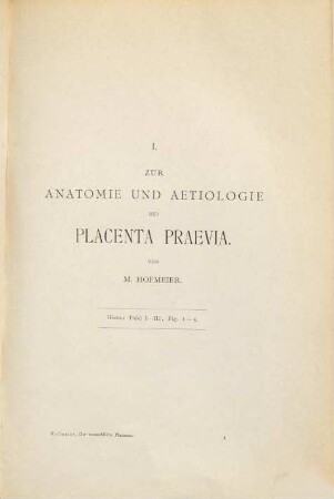 Die menschliche Placenta