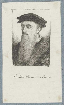 Bildnis des Coclius Secundus Curio