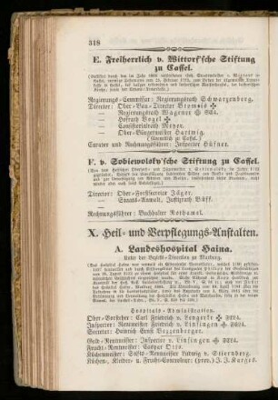 X. Heil= und Verpflegungs=Anstalten.