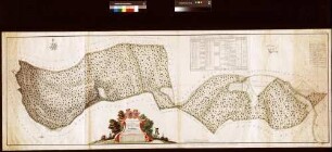 Geometrischer Grundriss über die zu der Gemeinherrschaft gehörigen Waldungen Michelriether Forst (Inselkarte)