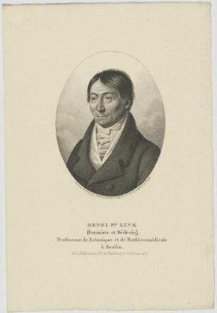 Bildnis des Henri Fic. Link