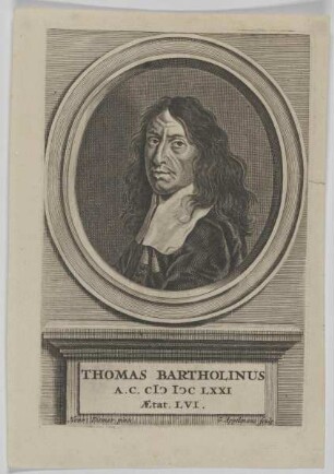 Bildnis des Thomas Bartholinus