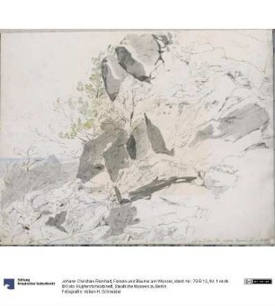Felsen und Bäume am Wasser