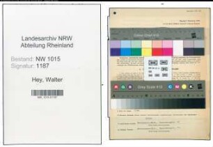 Entnazifizierung Walter Hey , geb. 21.04.1906 (Inspektor)