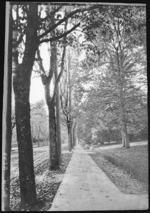 Portland, Oregon. Residence Street