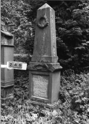 Grabstein 245 (Index: 99790246) Maße HxBxT: 210x62x39 cm Symbolik: Konche: Grabstein 245