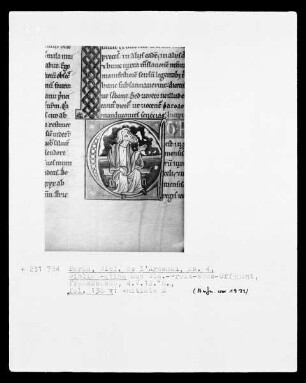 Biblia Latina: Fol. 138 v.: Initiale E