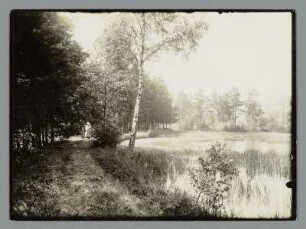 Am stillen Waldsee, Die Plothener Seen Platte