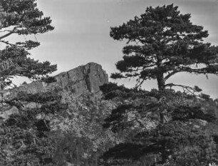 Auf dem Puerto de Pena Aguda : Aufnahme des Gipfels des Puerto de Pena Aguda mit Vegetation