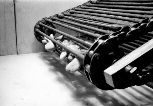Fotografie: Erntetechnik, Kartoffelvollernter, Rodeorgan, Bauart