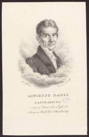 Raddi, Giuseppe