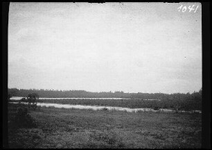 Kamien Koszyrski (=Kamin-Kaschyrskyj, Ukraine): Flussauenlandschaft am Stochod (?) (=Stochid, Gewässer in der Ukraine)