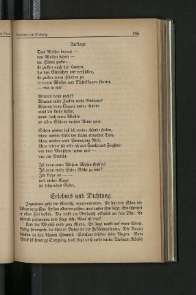 Erlebnis und DIchtung