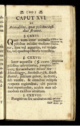 Caput XVI. De Animalibus, qua piscibus insidias struunt.