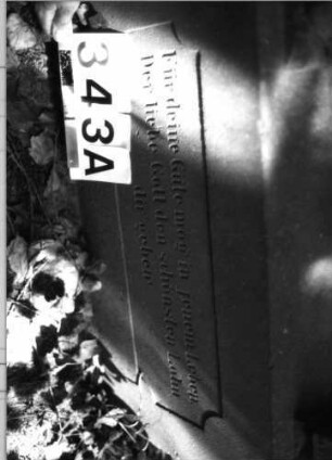 Grabstein 343 (Index: 100084915) Maße HxBxT: 183x77x32 cm Beschreibung: ädikulaart. St. m. Säulen, Giebel m. Akroteren: Grabstein 343A
