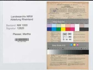 Entnazifizierung Martha Plesser, geb. 01.03.1903 (Bankangest.)