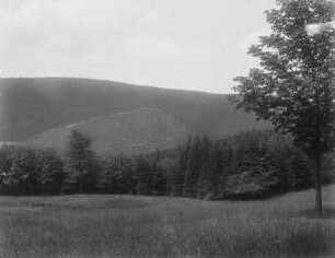 Thüringer Wald : Blick über eine Talwiese auf den Thüringer Wald.