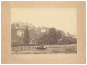 Kassel Weinberg