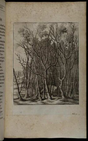 [Ill.] Fab. 7. - W. Hollar fecit