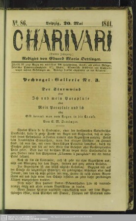 Pechvogel-Galerie Nr. 3 - der Sturmwind oder ich und mein Parapluie oder mein Parapluie und ich oder oft kommt man vom Regen in die Traufe